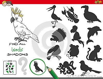 Educational shadows game with birds characters Vector Illustration