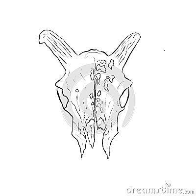 Cartoon Illustration Logo of an Animal Skull Like a Ram or Deer Stock Photo