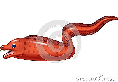 Cartoon illustration of Moral eel Vector Illustration