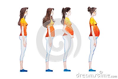 Cartoon illustration of pregnancy stages. Side view image of pregnant woman showing changes in her body Cartoon Illustration