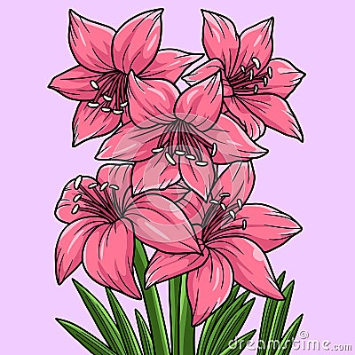 Amaryllis Flower Colored Cartoon Illustration Vector Illustration