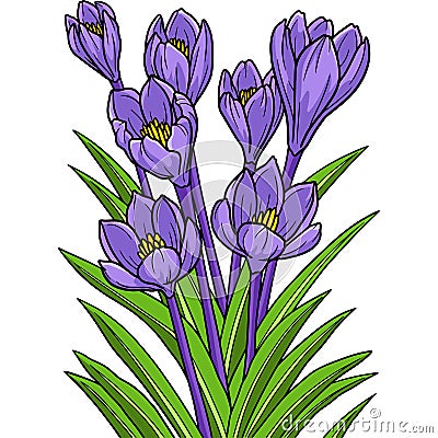 Crocus Flower Cartoon Colored Clipart Illustration Vector Illustration