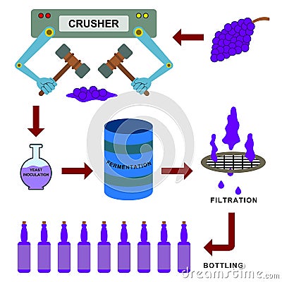 Wine making Cartoon Illustration