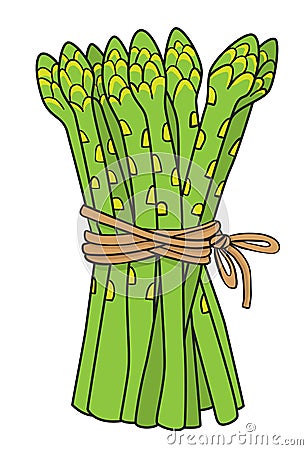 Cartoon image of asparagus Vector Illustration