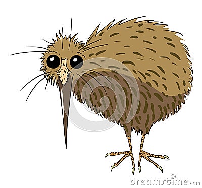 Cartoon image of kiwi bird Vector Illustration