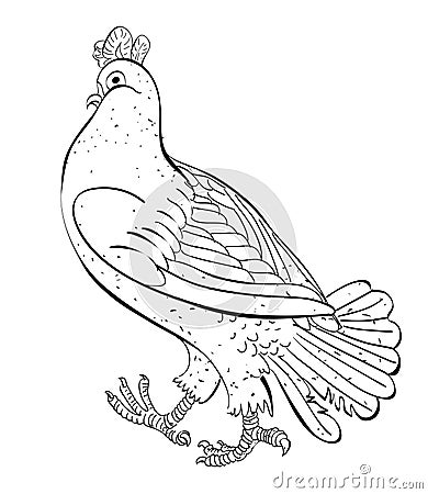 Cartoon image of pigeon Vector Illustration