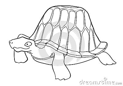 Cartoon image of turtle Vector Illustration