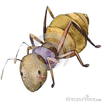 Cartoon insect ant watercolor illustration. Cartoon Illustration