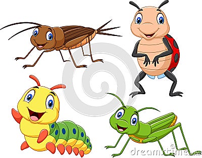 Cartoon insect collection set Vector Illustration