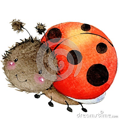 Cartoon insect ladybug watercolor illustration. Cartoon Illustration