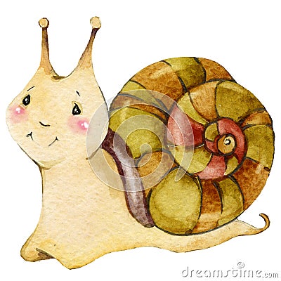 Cartoon insect snail watercolor illustration. Cartoon Illustration