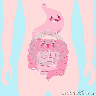 Cartoon intestine and stomach Vector Illustration
