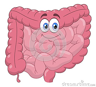 Cartoon intestines Vector Illustration