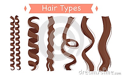 Cartoon isolated group of light strands with different curls and structure, straight and frizzy, wavy and afro kinky Vector Illustration