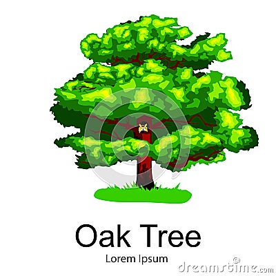 Cartoon isolated oak summer tree on a white background icon, outdoor park with branch, leafs on green grass vector Vector Illustration