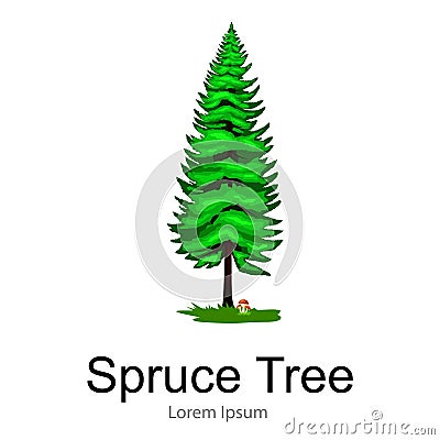 Cartoon isolated spruce summer tree on a white background icon, outdoor park with branch, leafs on green grass vector Vector Illustration