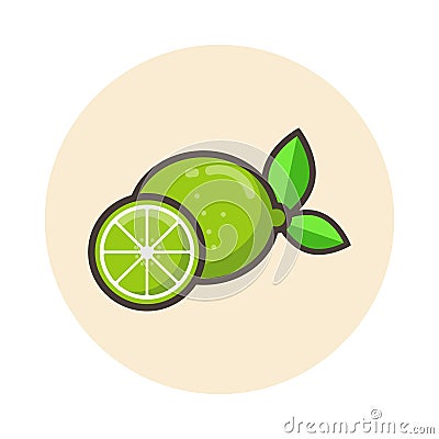 Cartoon lime icon vector Vector Illustration