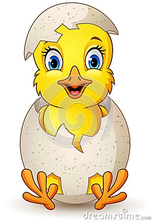 Cartoon little chick with egg Vector Illustration