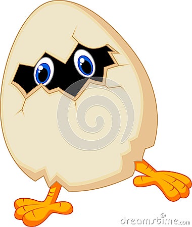 Cartoon Little chicken in egg Vector Illustration