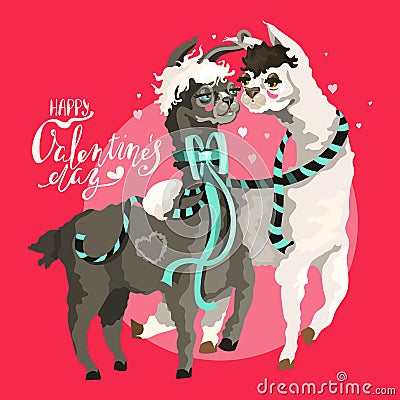 Cartoon llamas in love. Valentine day cute, adorable and funny card Vector Illustration