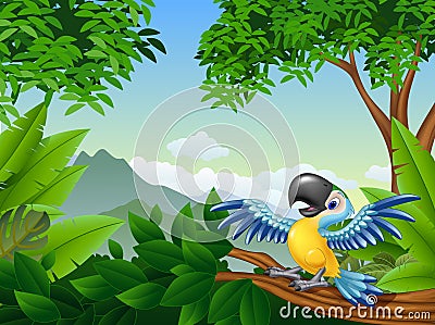 Cartoon macaw in the jungle Vector Illustration