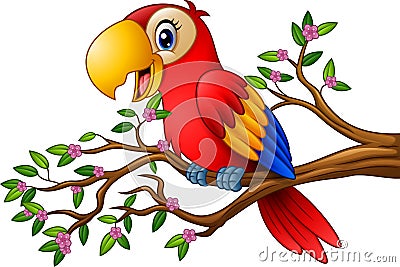 Cartoon macaw on tree branch Vector Illustration