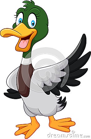 Cartoon mallard duck waving isolated on white background Vector Illustration