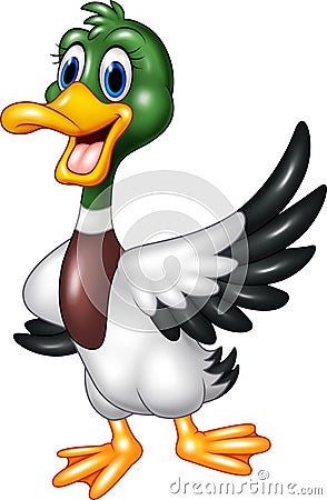 Cartoon mallard duck waving isolated on white background Vector Illustration