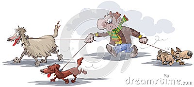 Man walking a few dogs Vector Illustration