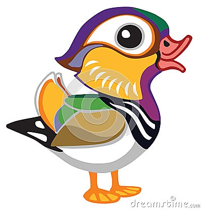 Cartoon mandarin duck male Vector Illustration