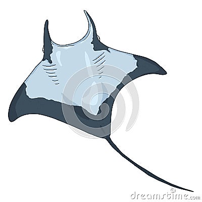 Cartoon Manta Ray. Numb-fish Vector Illustration Vector Illustration