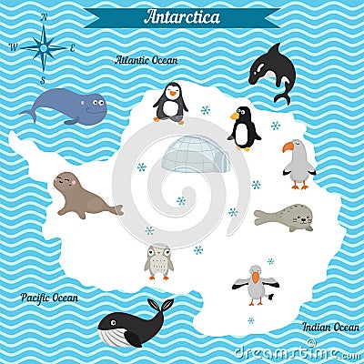 Cartoon map of Antarctica continent with different animals. Vector Illustration