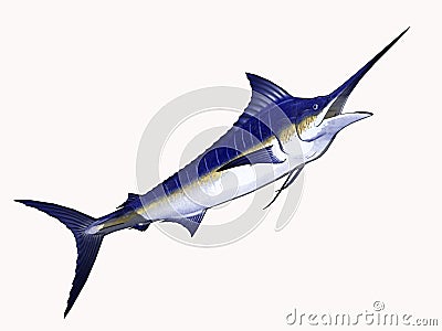 Cartoon Marlin Stock Photo