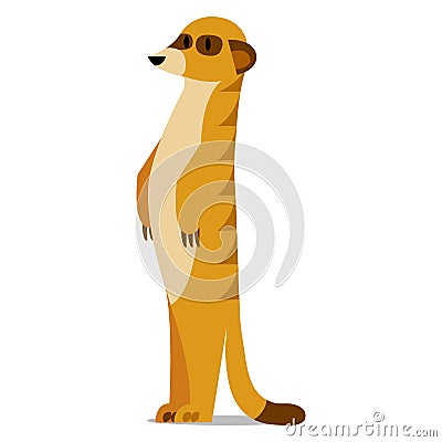 Cartoon Meerkat Isolated On Blank Background Stock Photo