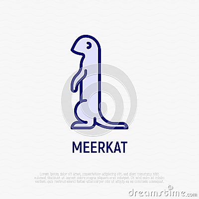 Cartoon meerkat thin line icon. Modern vector illustration of suricate Vector Illustration