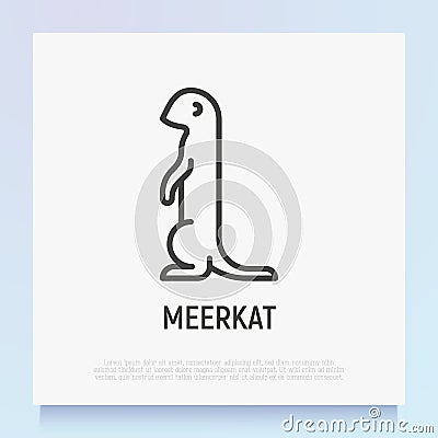 Cartoon meerkat thin line icon. Modern vector illustration of suricate Vector Illustration