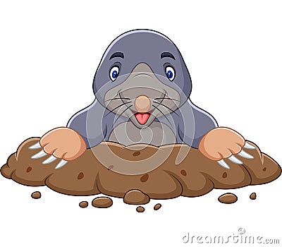 Cartoon mole come out of the hole Vector Illustration