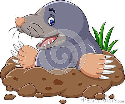 Cartoon mole come out of the hole Vector Illustration