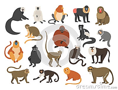 Cartoon monkeys. Exotic tropical animals. Different types of primate breeds. Mandrill and bekantan. Climbing lemur Vector Illustration