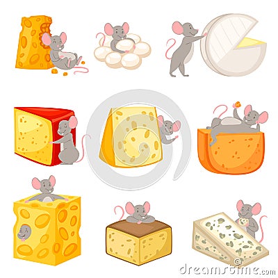 Cartoon mouse vector kids mousy animal character rodent and rat with cheese eating cheesy food illustration mousey set Vector Illustration