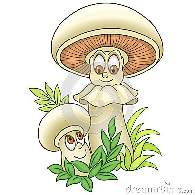 Cartoon Mushroom Champignon Shiitake boletus Vector Illustration