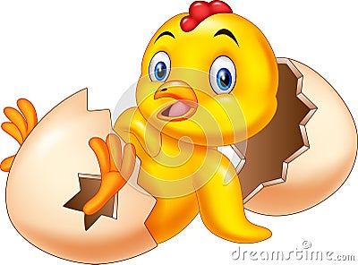 Cartoon new born chick Vector Illustration