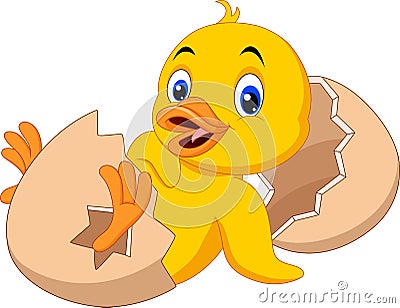 Cartoon new born duckling Vector Illustration