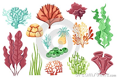 Cartoon Ocean Plants, Aquatic Life, Marine Coral Reef or Seaweeds Water Life Isolated on White Background Vector Illustration