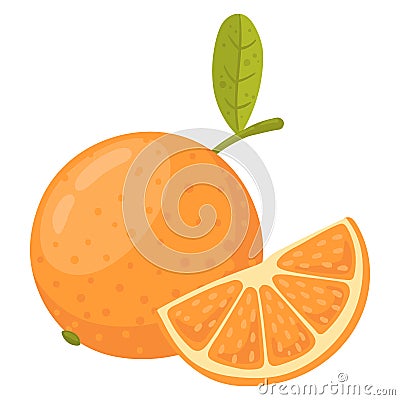 Cartoon orange fruit. Whole citrus fruit and slice, juicy mandarin Ð¾r orange flat vector illustration on white background Vector Illustration