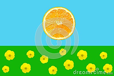 Cartoon with orange slice as sun on blue sky background green grass with yellow flowers. Creative poster banner for kids Stock Photo