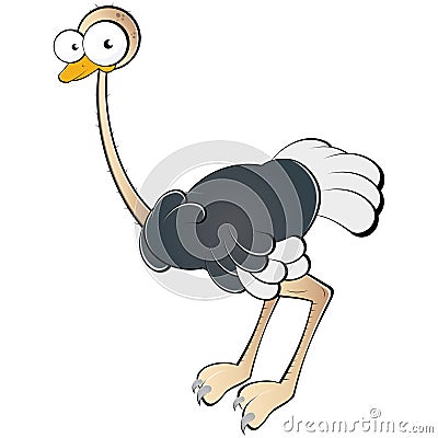 Cartoon ostrich Vector Illustration