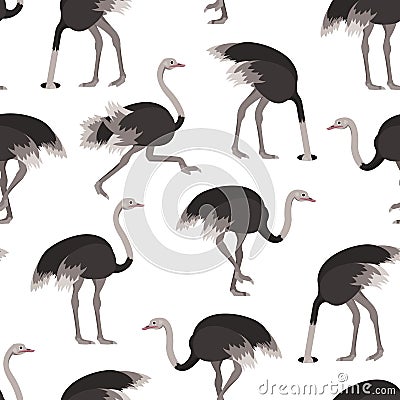 Cartoon Ostrich Bird Seamless Pattern Background. Vector Vector Illustration