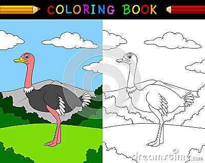 Cartoon ostrich coloring book Vector Illustration