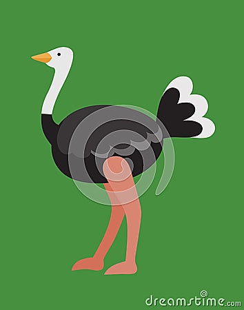 Cartoon ostrich Stock Photo